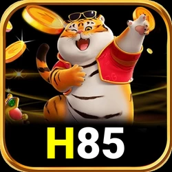 Ikon h85
